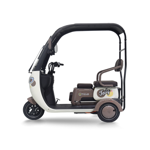 TAILG X4 LEAD ACID 25km/h ΜΠΕΖ TAILG X4 LEAD ACID 25km/h ΜΠΕΖ