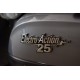 ΗΛΕΚΤΡΙΚΟ SCOOTER ΔΙΚΥΚΛΟ ΧΩΡΙΣ ΔΙΠΛΩΜΑ GREY ELECTRO-ACTION 25 PRO ΜΕ ΜΠΑΤΑΡΙΑ ΛΙΘΙΟΥ
